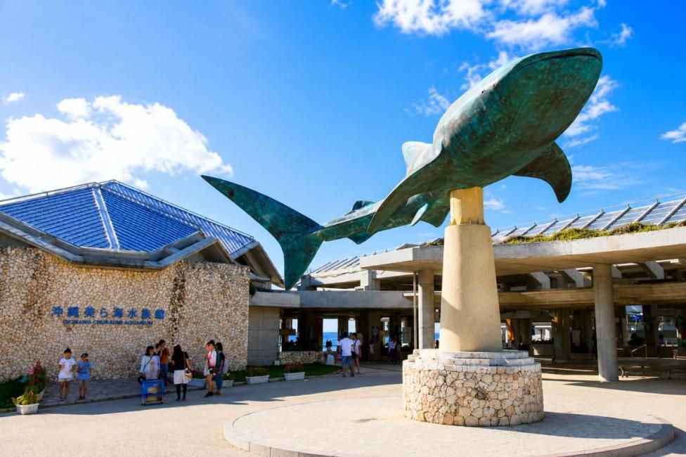 Okinawa Northern Highlights Day Trip | Churaumi Aquarium 4 Hours, Kouri Island, Manzamo | Chinese-Speaking Guide
