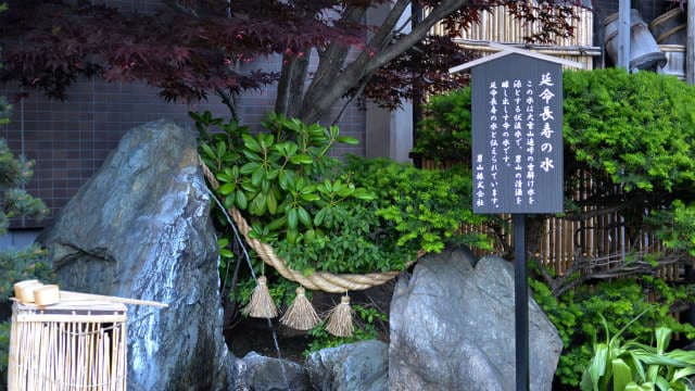 男山酒造資料館本館前的延命長壽水湧泉，岩石間流出清水並掛有注連繩