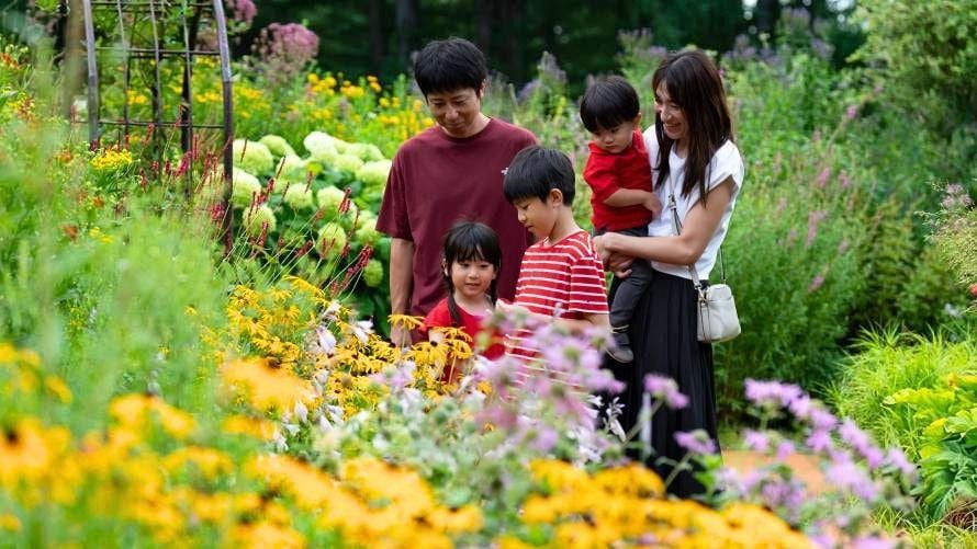 風之花園盛開的花壇與遊客