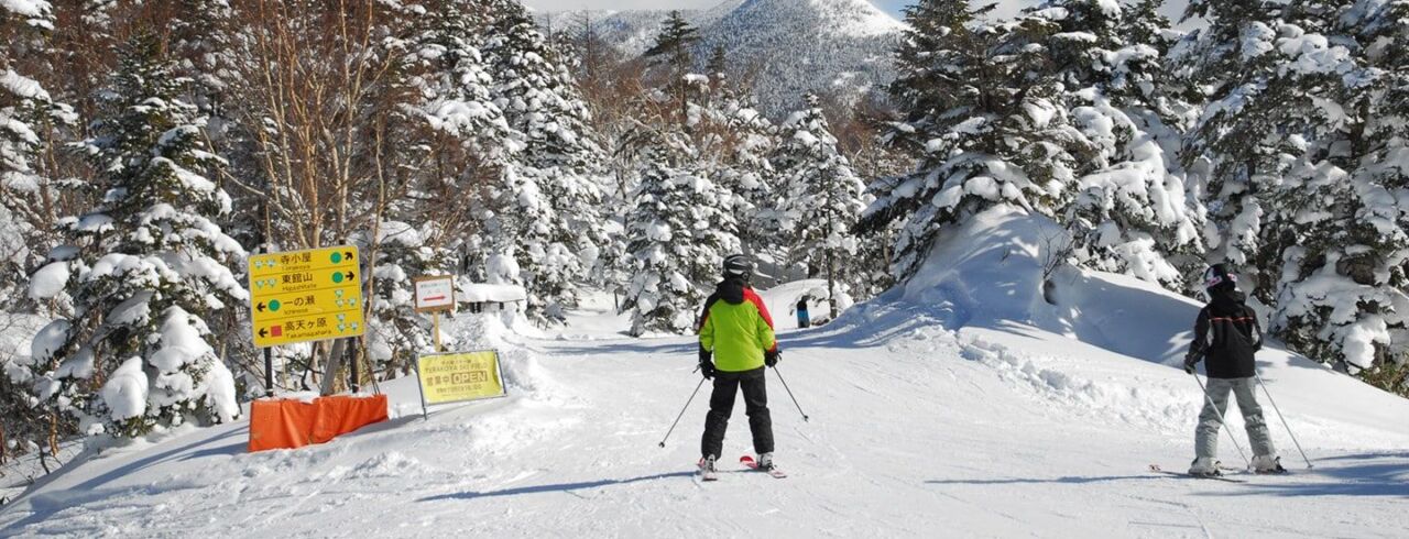 寺小屋滑雪場高海拔樹冰雪道