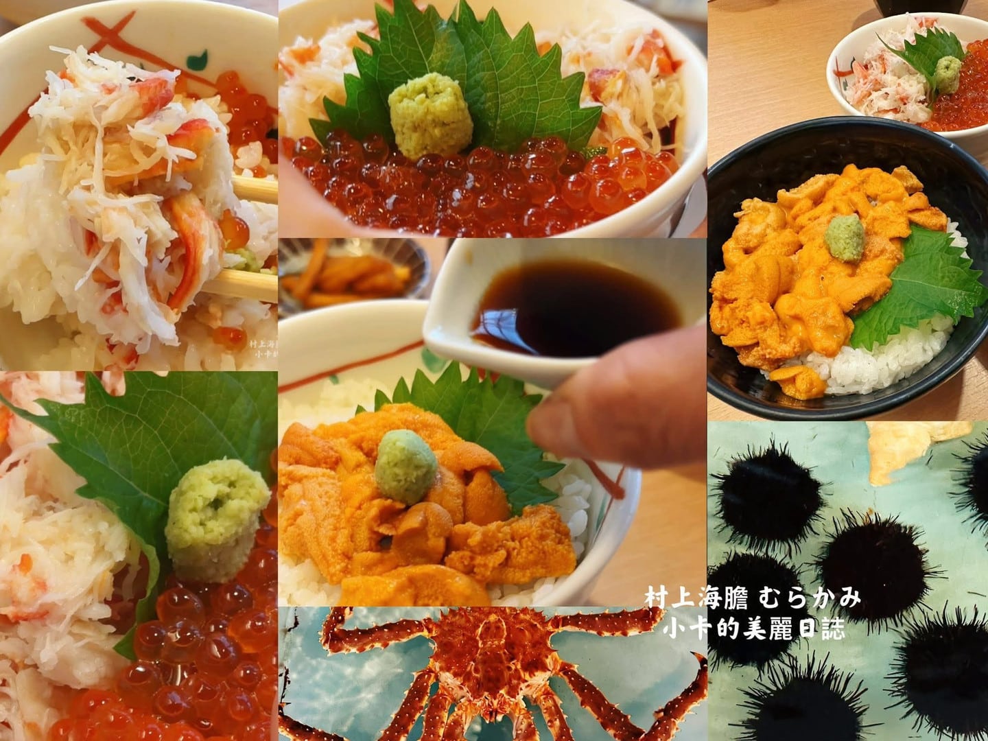 村上海膽