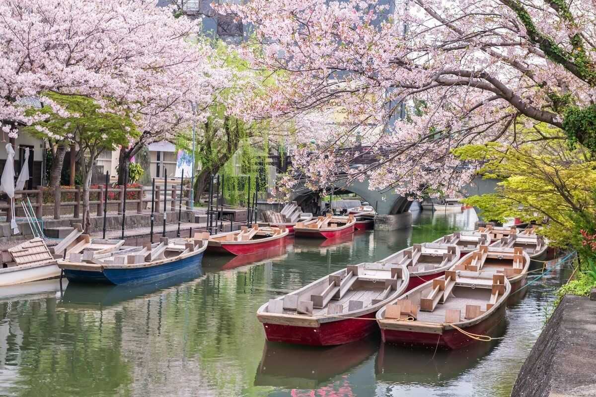 柳川川下り遊船