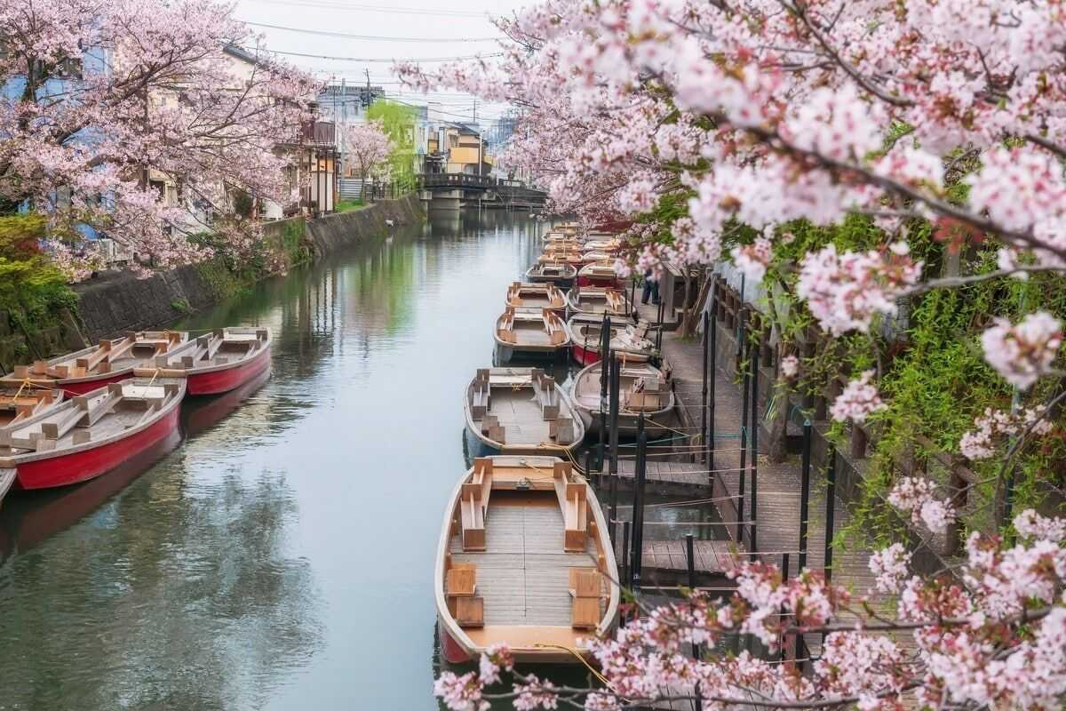 柳川7大船公司