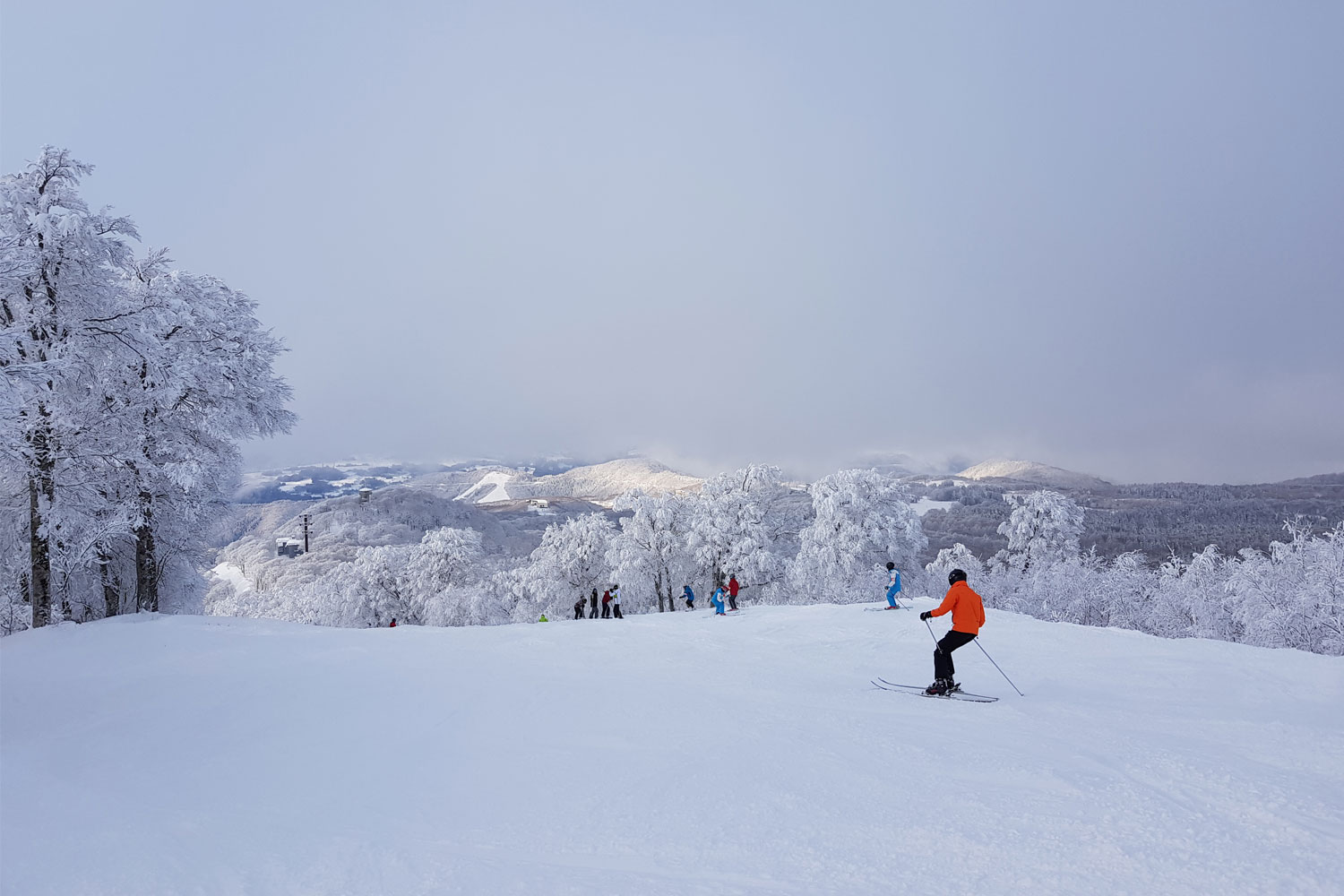 苗場滑雪場攻略2026：Dragondola運行期間、Mt.Naeba共通券與東京出發交通全指南