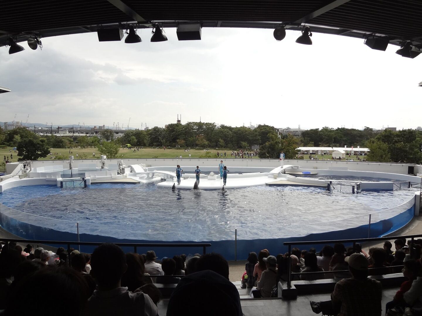 京都水族館・梅小路公園攻略2026｜門票、交通、水母樂園與朱雀之庭完整指南