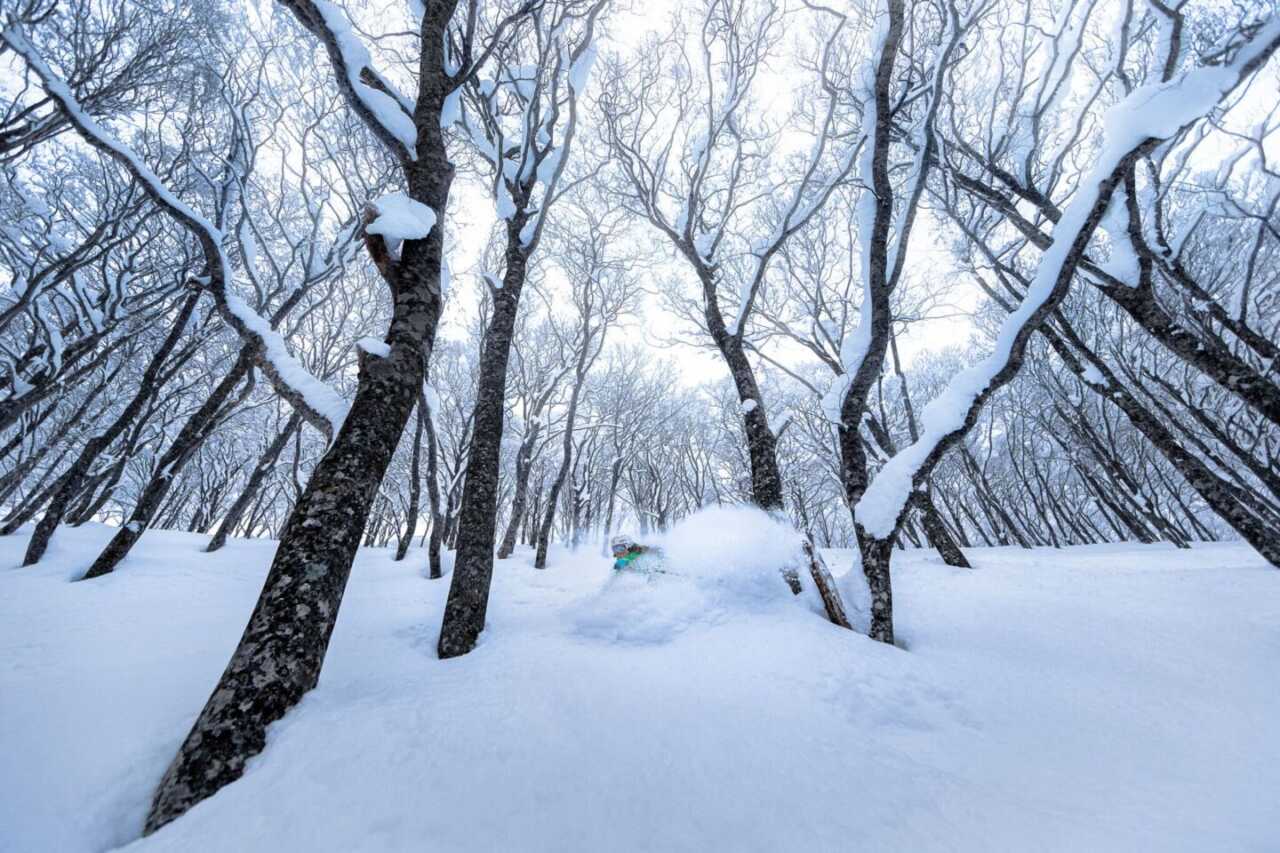 不滑雪也能玩:雪鞋健行與雪上活動