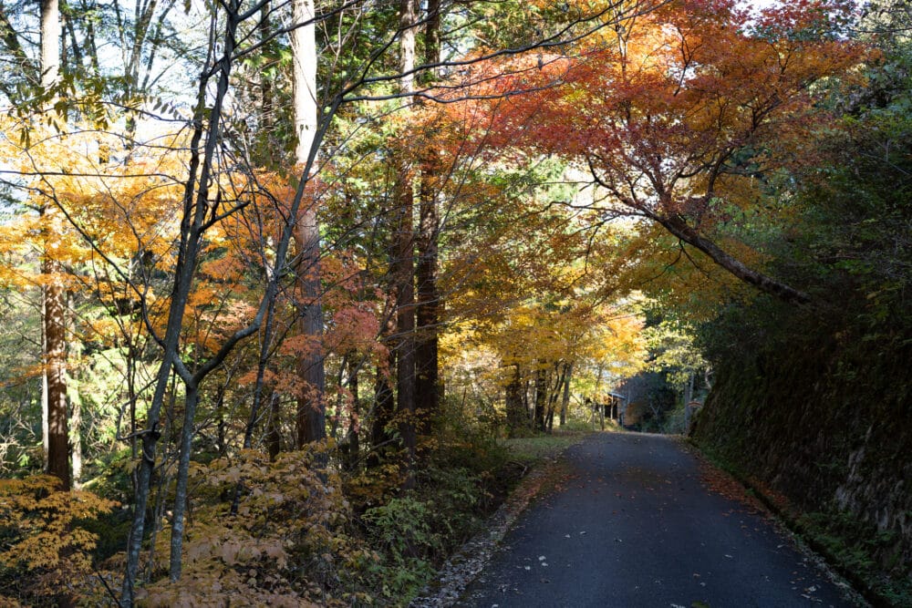 The Nakasendo Trail: How to Hike Magome to Tsumago