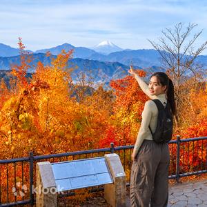 Tokyo Mt. Takao & Showa Kinen Park Autumn Leaves Day Trip (Cable Car Included)