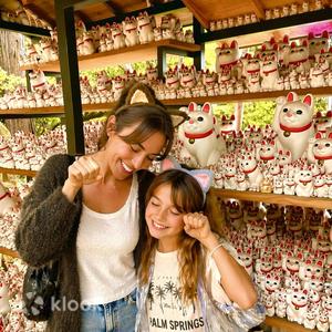 Tokyo Gotokuji & Harajuku Cat Cafe Half-Day Tour