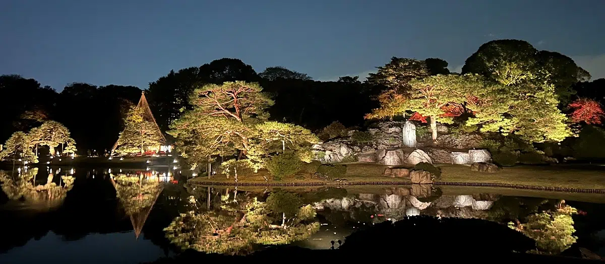 六義園夜間特別觀賞紅葉