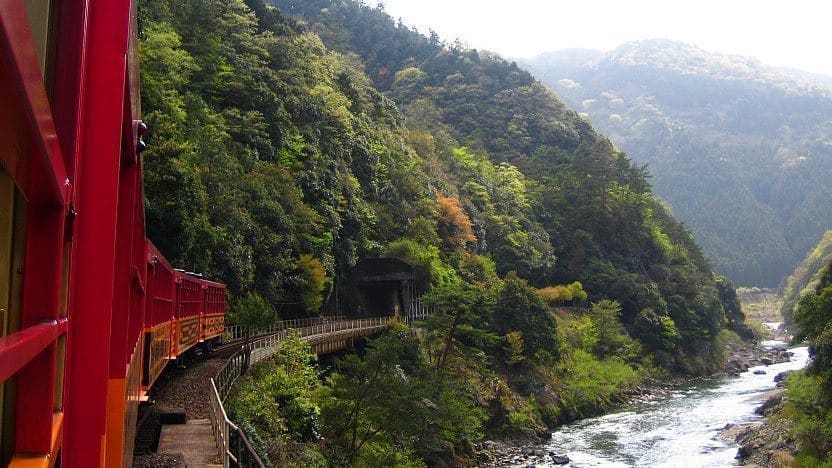 嵯峨野觀光小火車:楓紅隧道漫遊