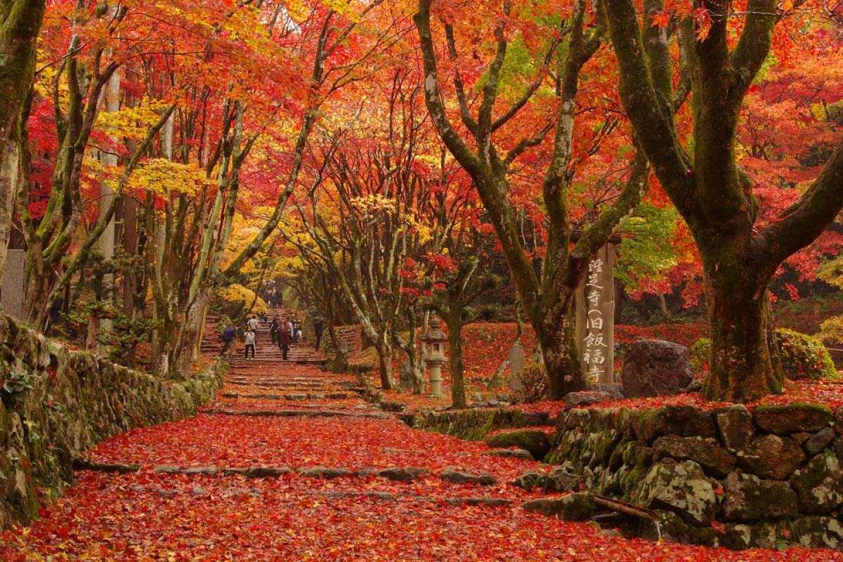 西明寺