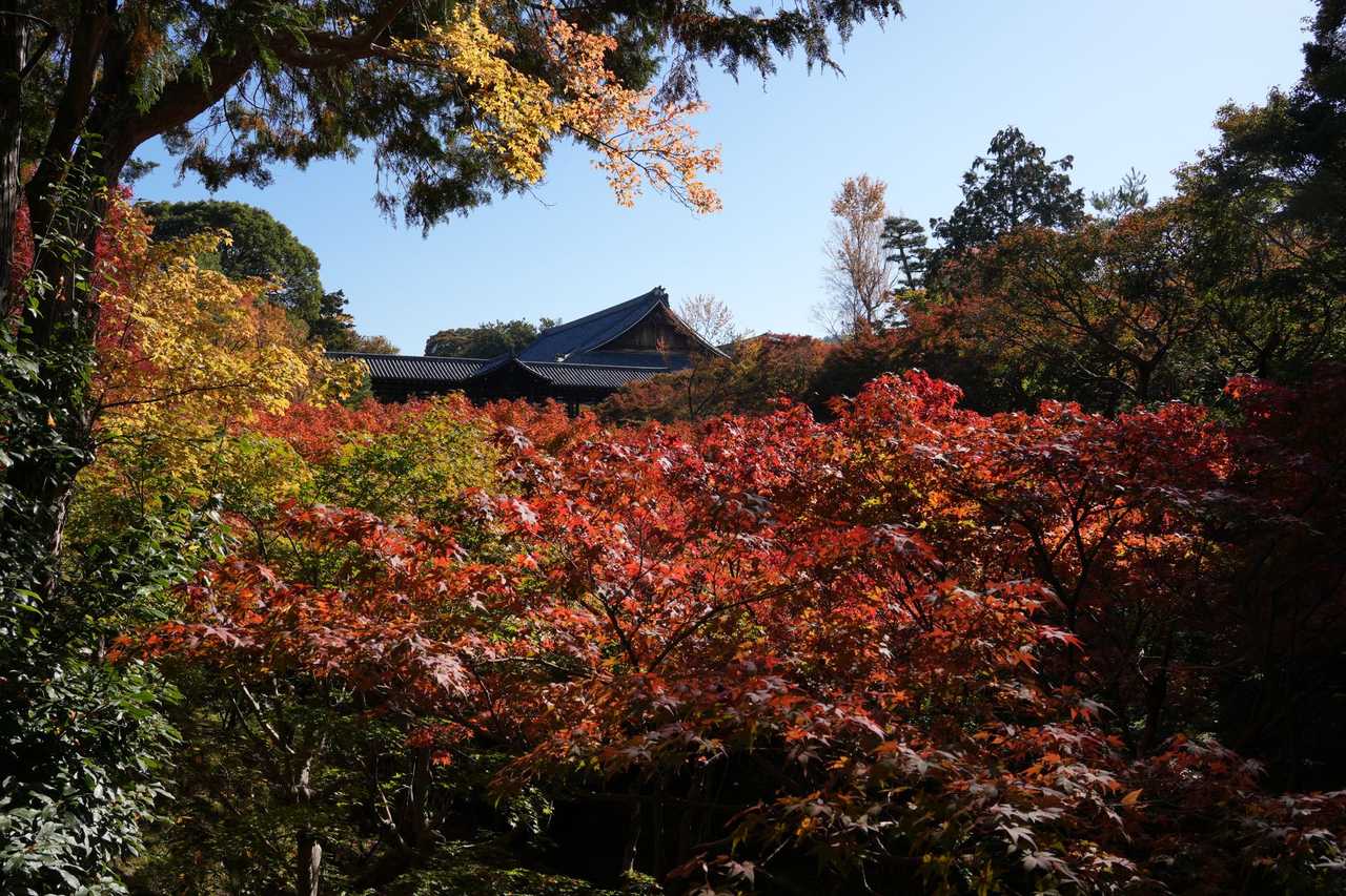 修禪寺