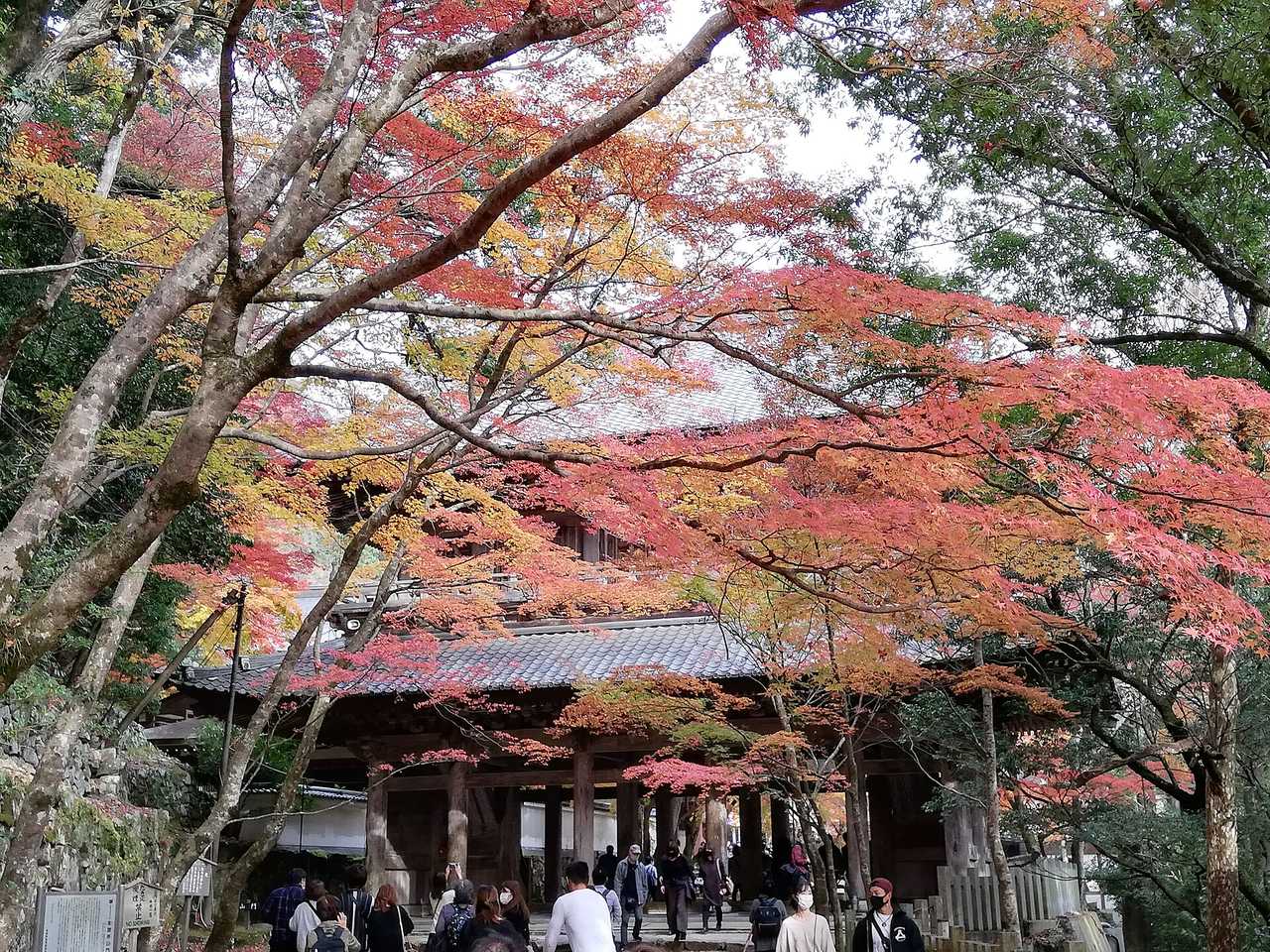 永源寺山門特別拜觀券:期間限定不容錯過