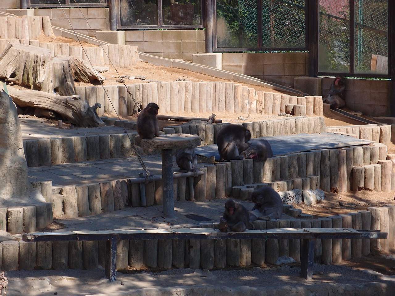 高尾山猴園・野草園:親子同樂景點