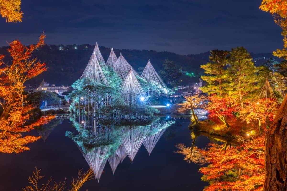 秋之段夜間點燈:雪吊與紅葉交織
