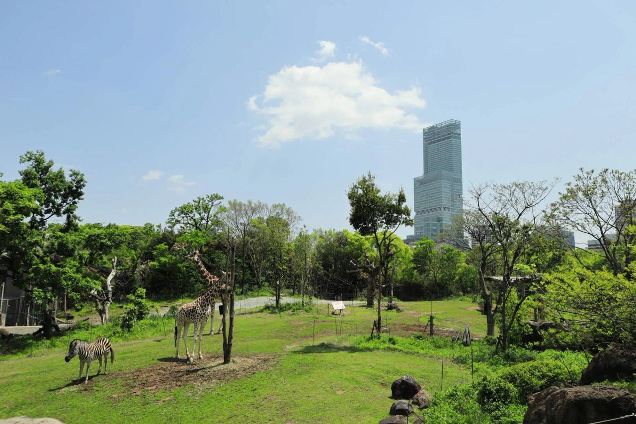 2026大阪天王寺動物園攻略：友誼花園可愛動物與北極熊觀景窗全解析