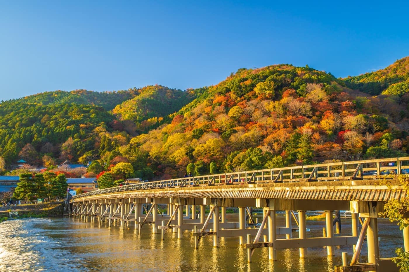 嵐山紅葉攻略總覽