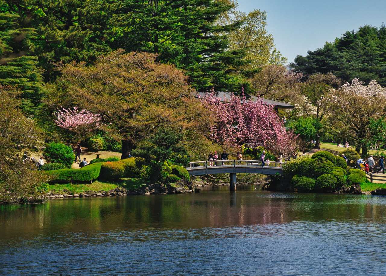 2026東京新宿御苑：四季花卉、三大庭園、歷史文化與周邊深度探索