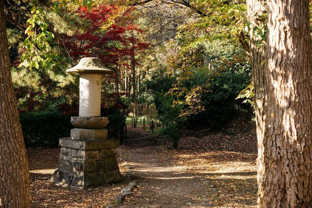 尾山神社神苑:池泉回遊式庭園秋色