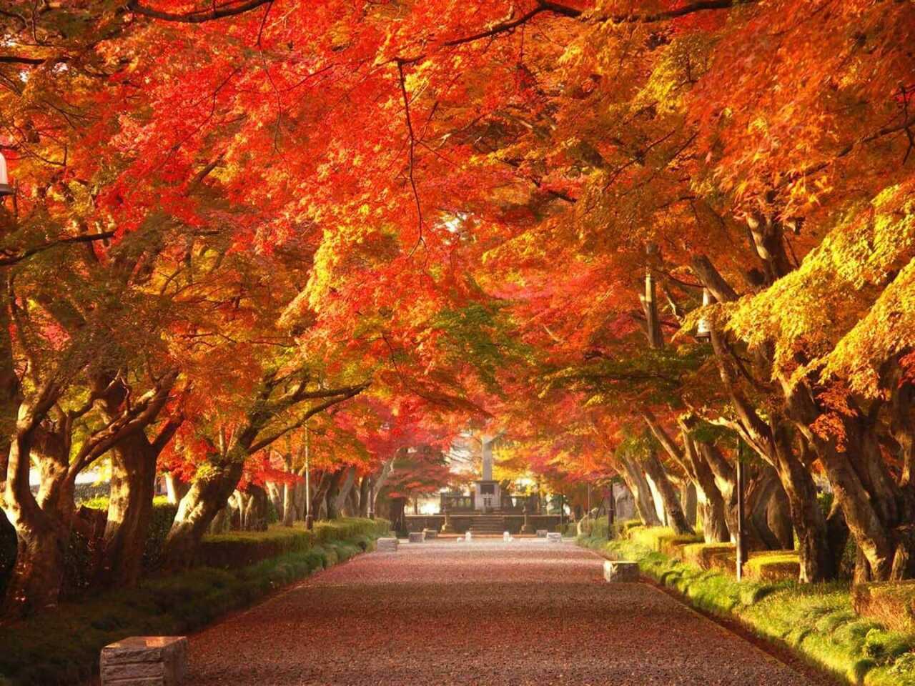 那須高原紅葉攻略總覽