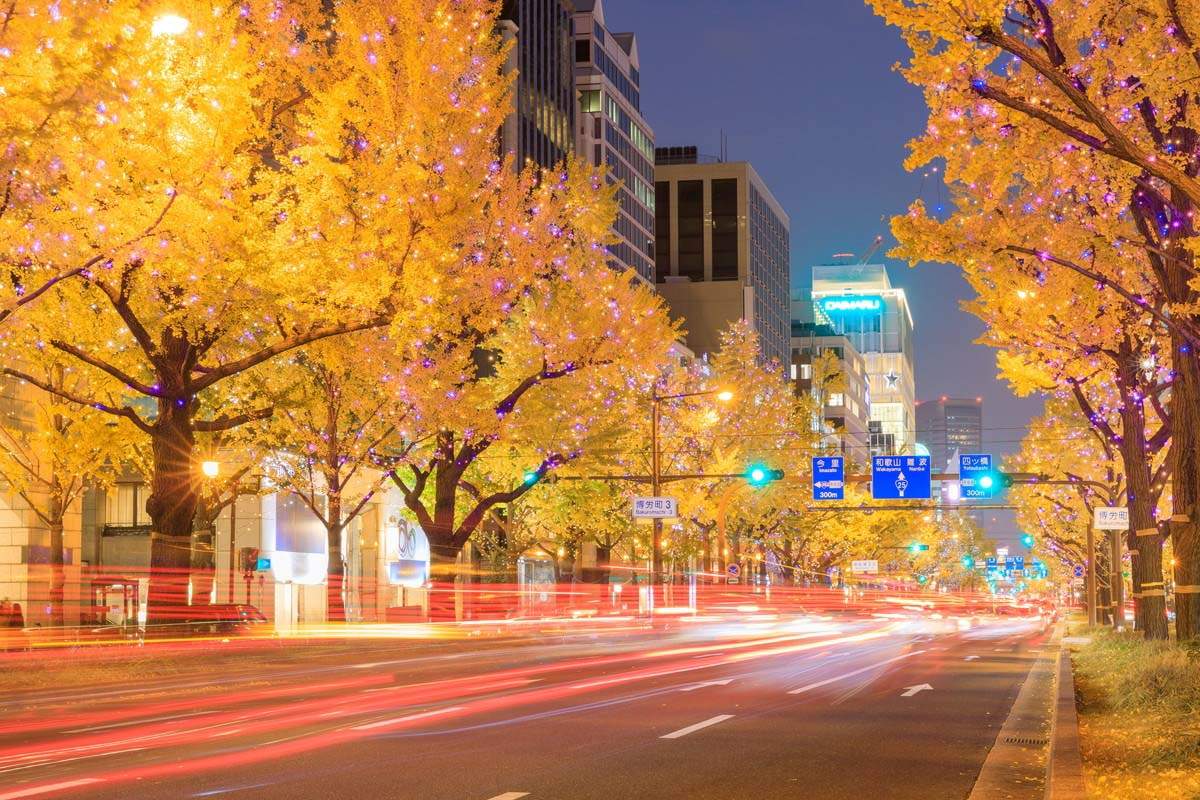 Midosuji Hikari-no-Kyoen illumination