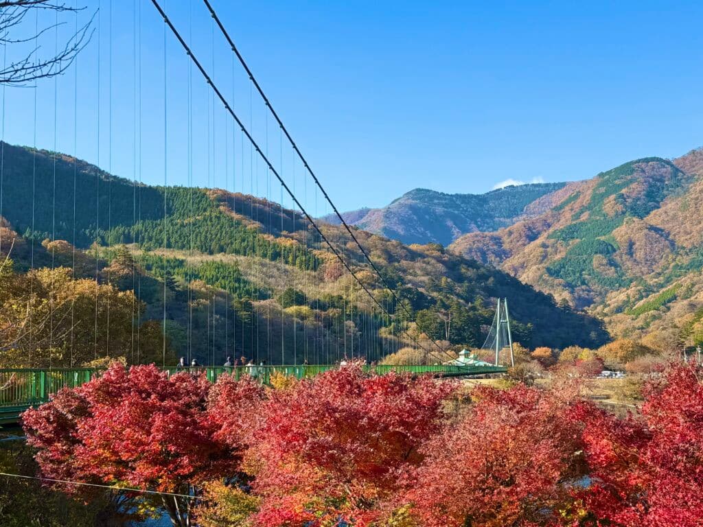 紅葉谷大吊橋交通:JR巴士接駁