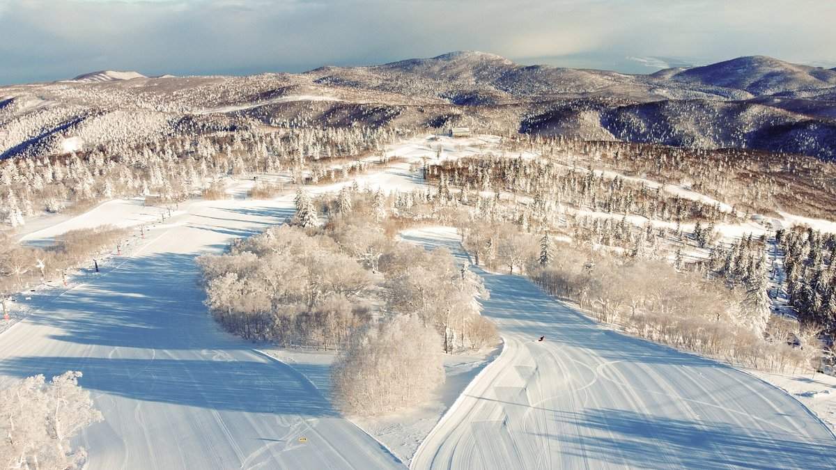Sapporo Kokusai Ski Resort: Hokkaido's Signature Powder Resort