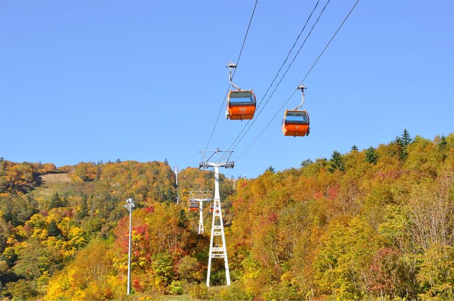 Autumn foliage gondola