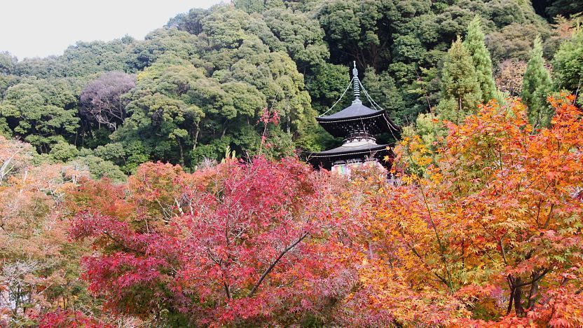 What is special about Eikando
