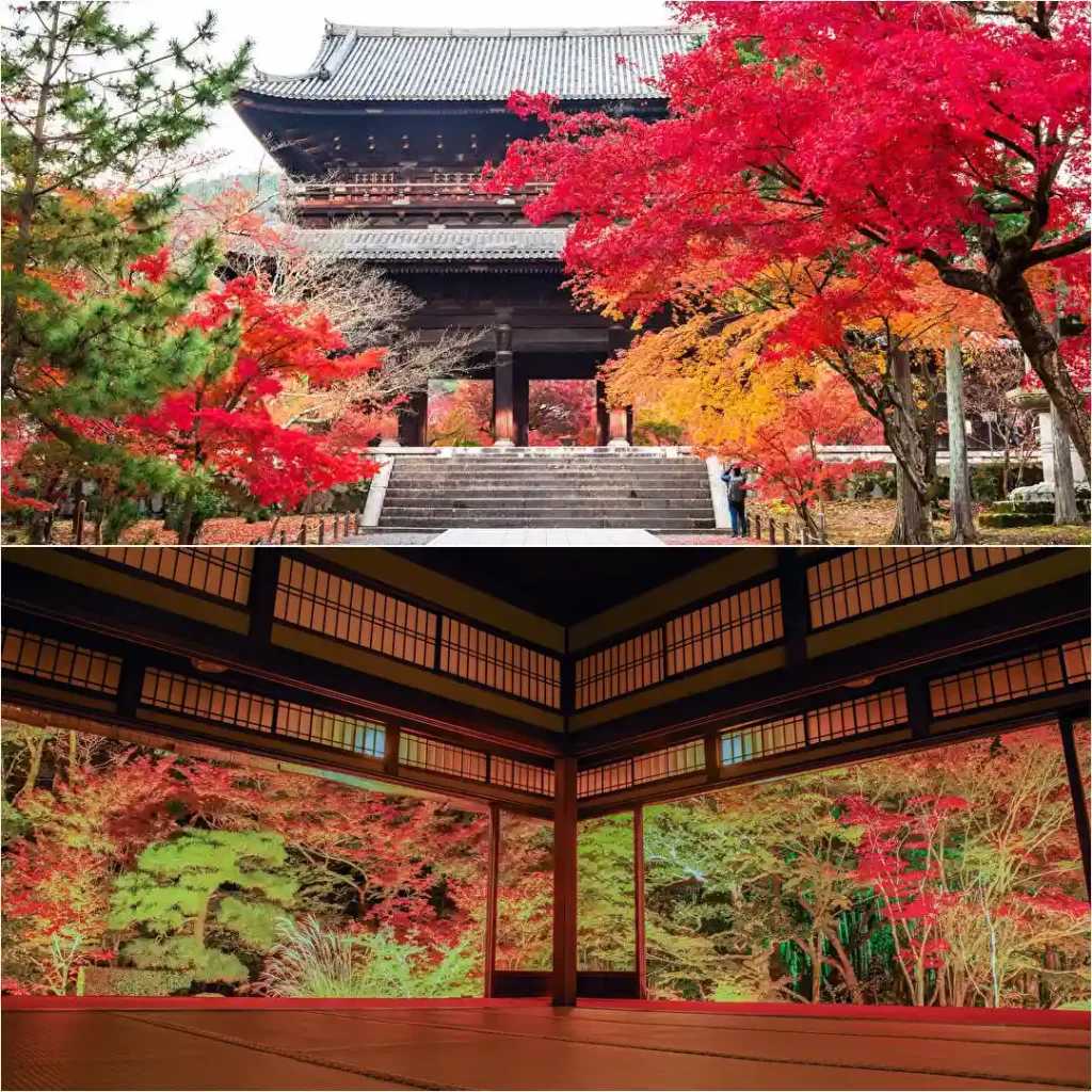 Higashiyama half-day foliage tour itinerary