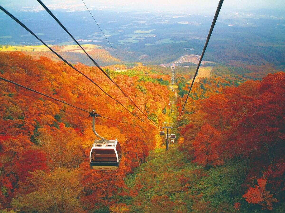 那須纜車套票
