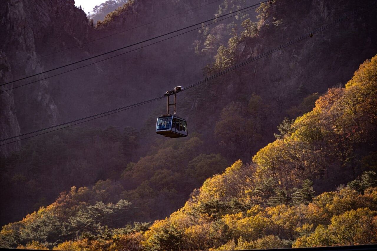 Cable car traversing autumnal mountain landscape, vibrant foliage below.