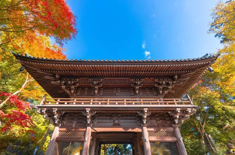 高尾山藥王院:千年古剎紅葉交織
