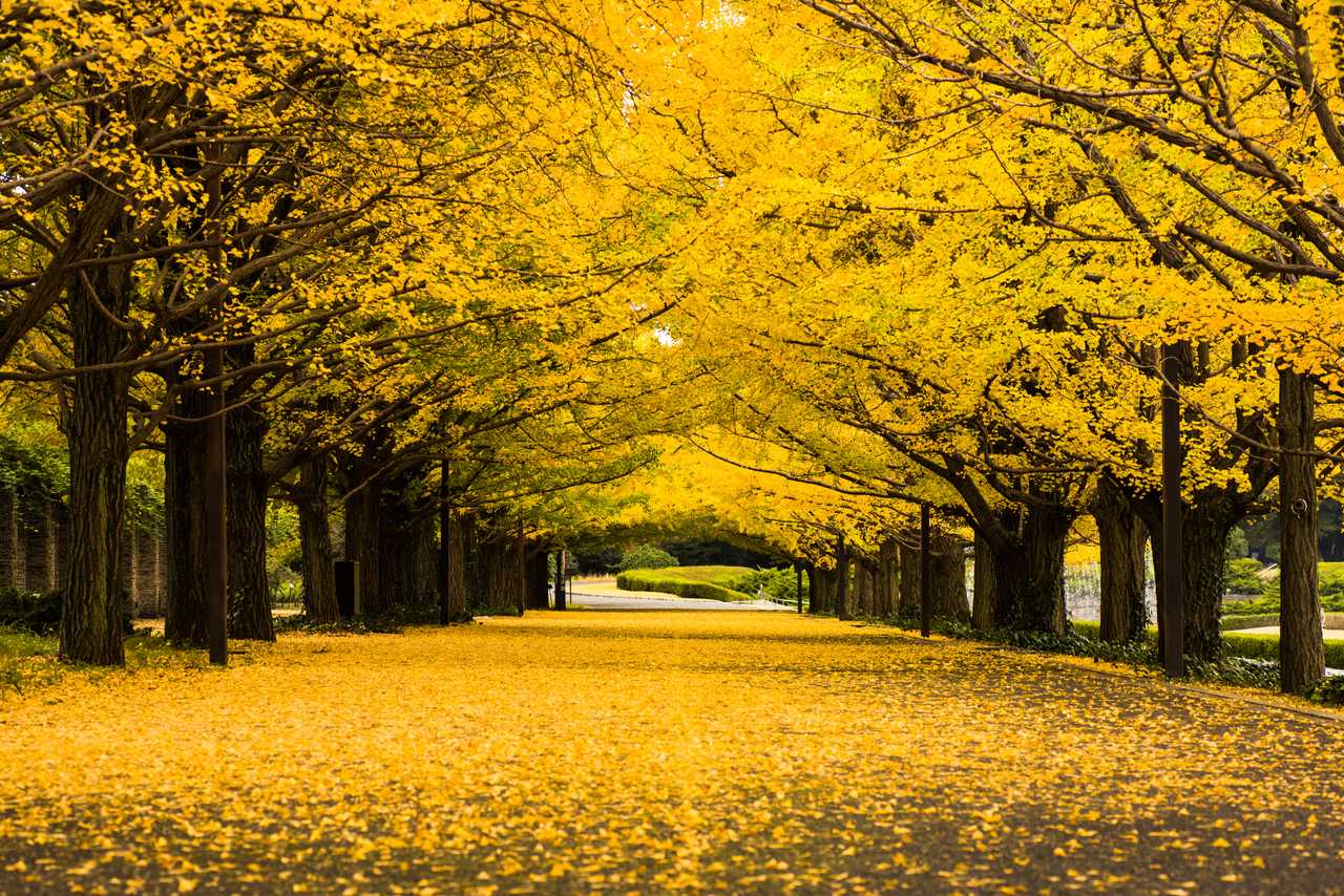 Komazawa Olympic Park