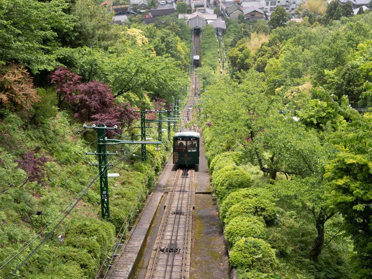 Mt. Takao Cable Car and Autumn Leaves Day Trip