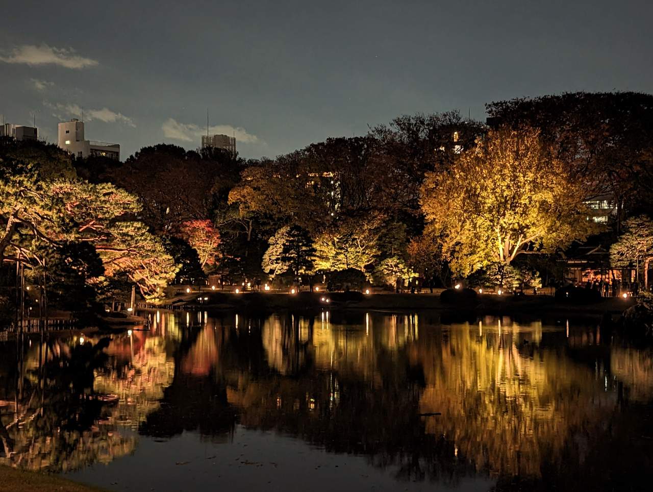 Rikugien and Koishikawa Korakuen Autumn Night Illuminations