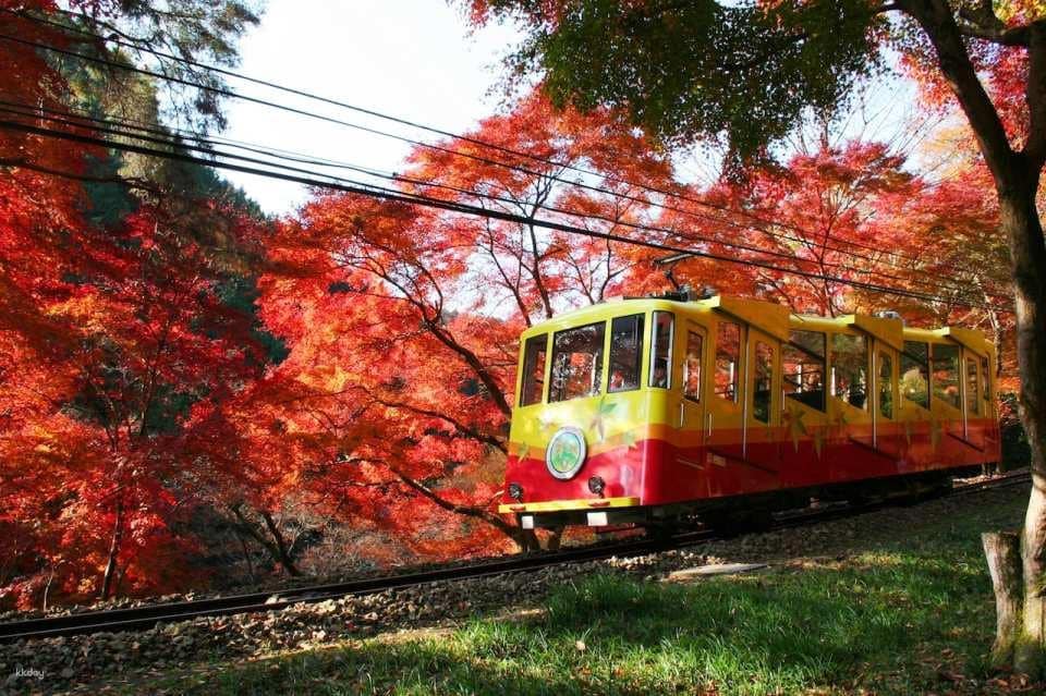京王線一日券+高尾山纜車套票