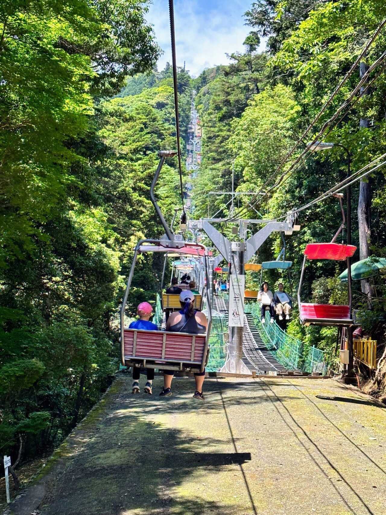 高尾山纜車藥王院一日遊套裝行程