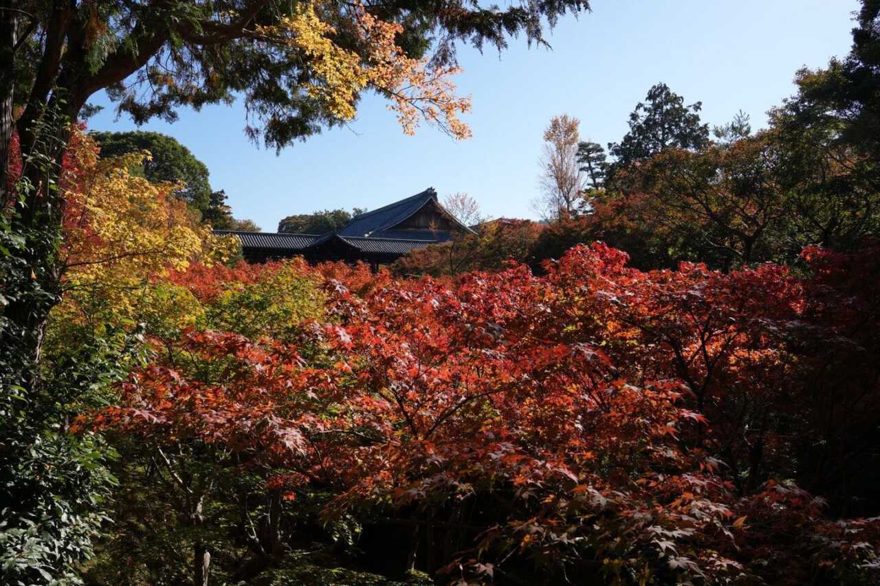 天龍寺:世界遺產庭園借景嵐山