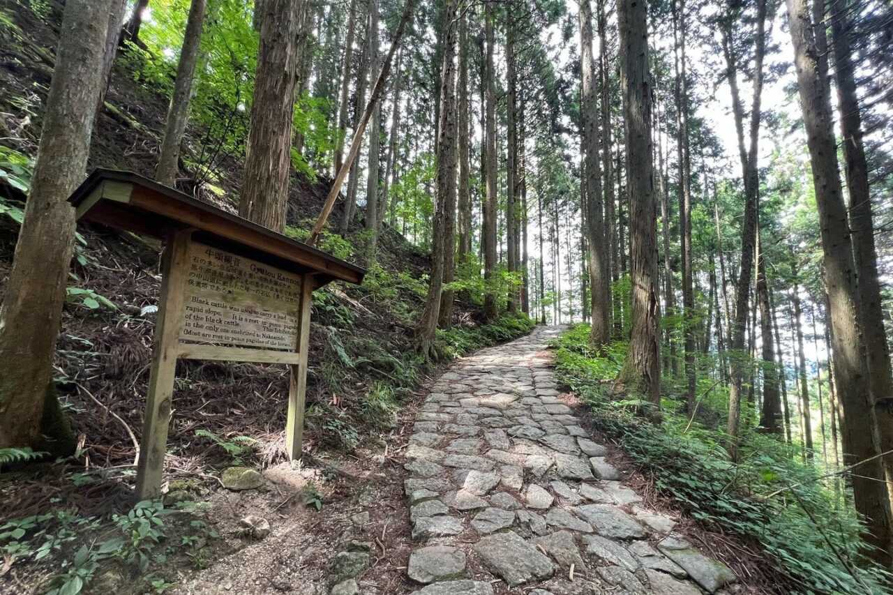 妻籠馬籠古道健行導覽