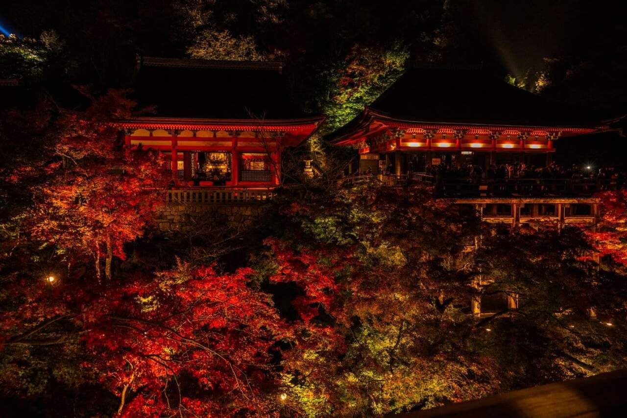 寶嚴院:天龍寺塔頭的夜楓名所
