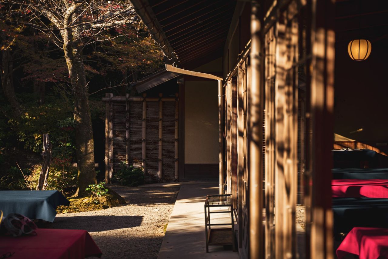 寶泉院:額緣庭園與抹茶時光