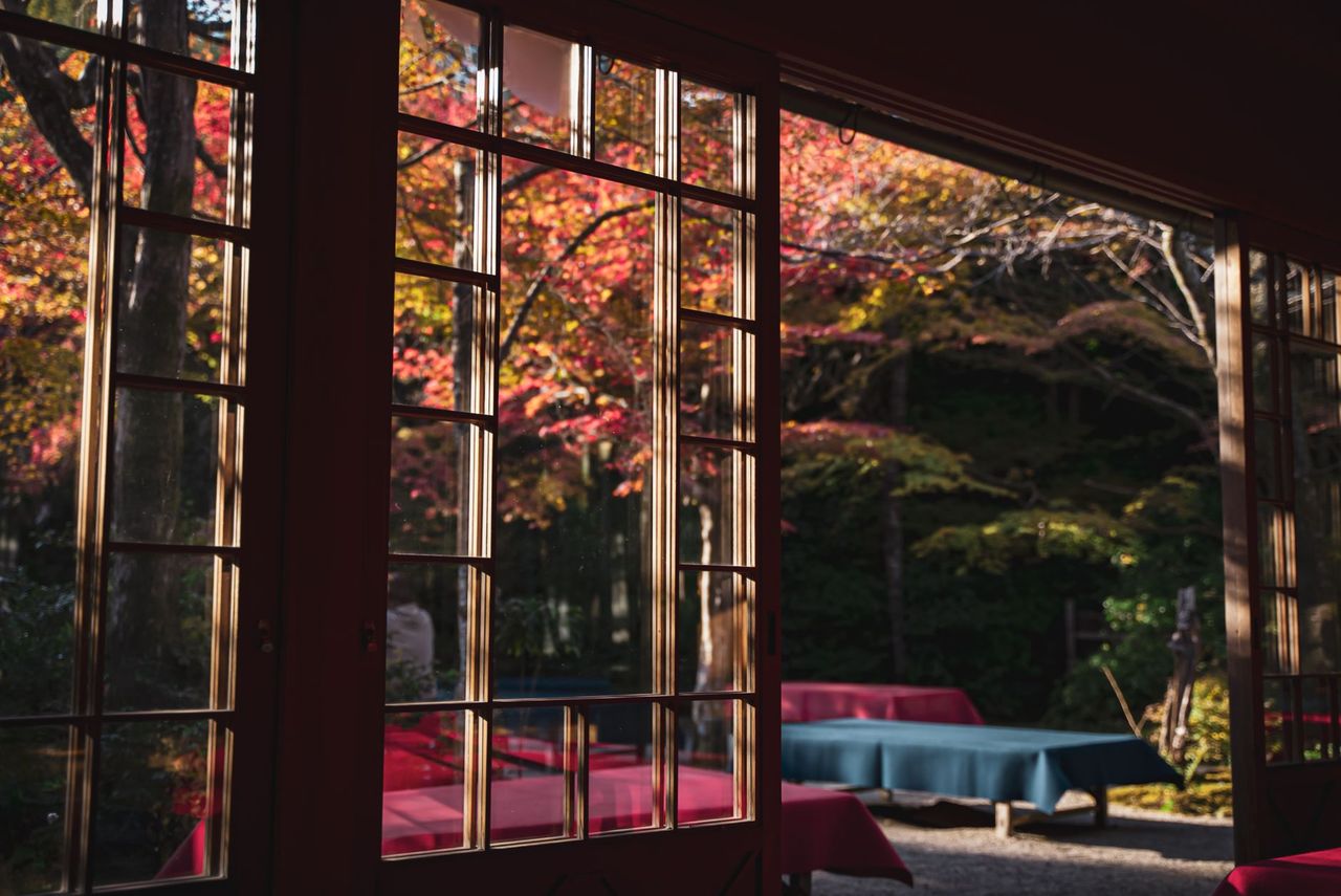 寂光院:平家物語的寂靜楓紅