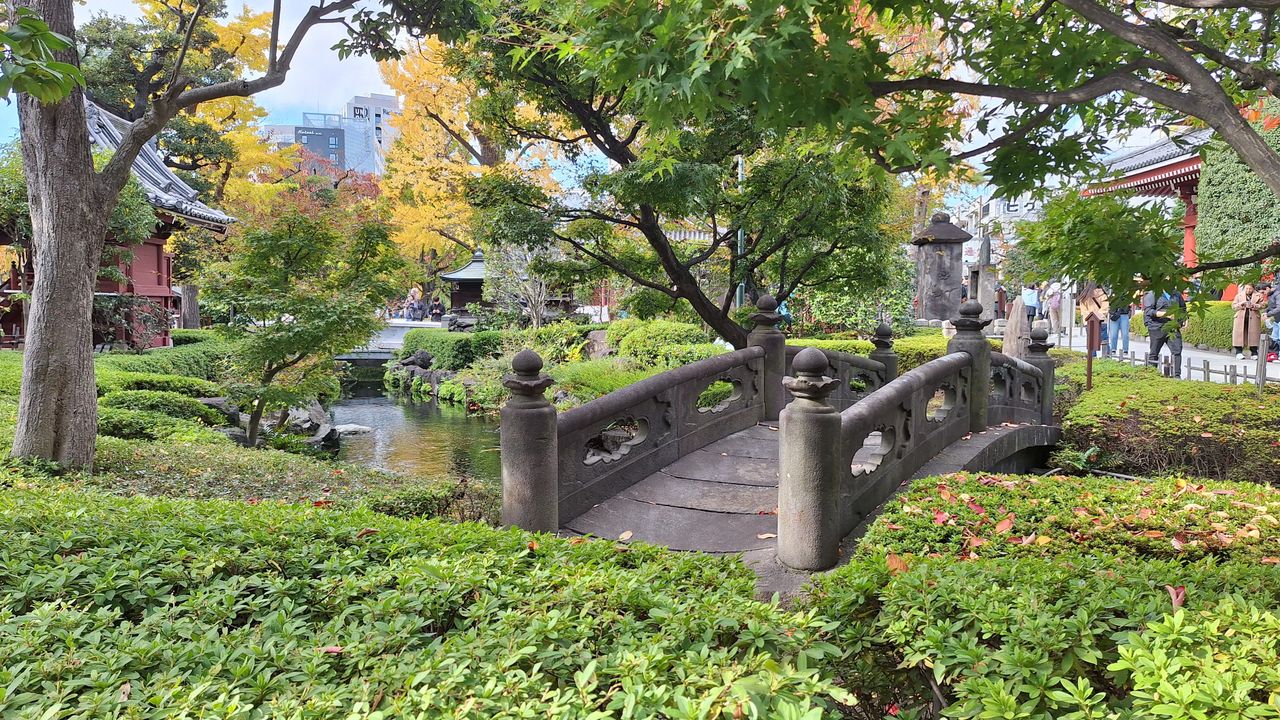 杜鵑茶屋與山陰橋