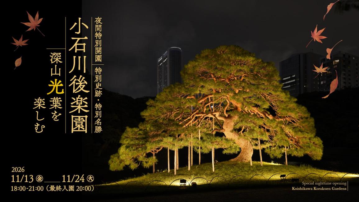 Koishikawa Korakuen Special Night Opening 2026 (Enjoy Miyama Koyo) (Bunkyo City, Tokyo)