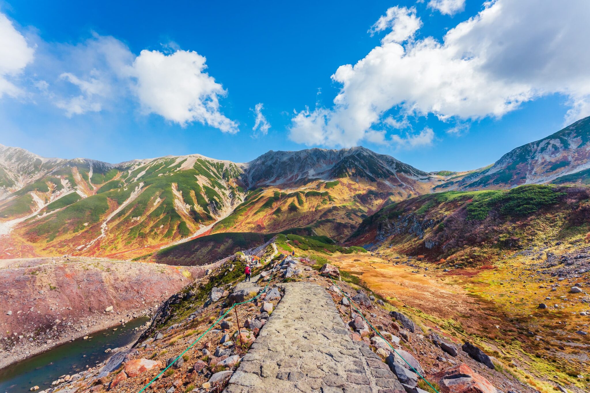 Autumn grass foliage on Murodo-daira with the Tateyama mountain range