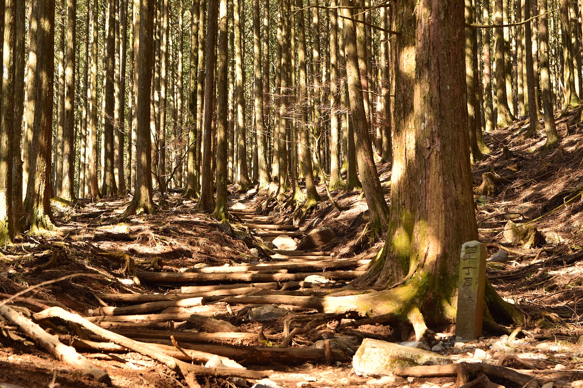 武甲山登山步道