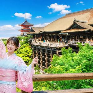 京都: 金閣寺 & 清水寺 & 宇治川 & 平等院一日遊 (大阪 / 京都出發)