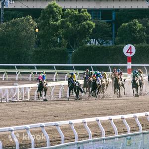 五色沼與福島賽馬場一日探索之旅
